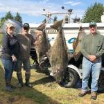 Vickie Holmquist                                 Jerry Payne, right, caught this 168-pound halibut June 10 while fishing at Midway off Neah Bay with Vickie Holmquist, left and Rick Wray.