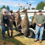 Jerry Payne, right, caught this 168-pound halibut last Saturday while fishing at Midway off Neah Bay with Vickie Holmquist, left and Rick Wray.                                Photo courtesy Vickie Holmquist