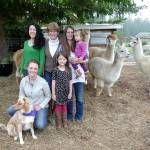 Dyefeltorspin festival celebrates fiber; alpaca shearing set for Sunday