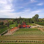 Windermere Sunland listed Purple Haze Lavender for sale last week for $3.25 million. The farm was part of the first Sequim Lavender Festival and now offers Purple Haze Daze during Sequim Lavender Weekend. (Melanie Arrington/Windermere Real Estate)