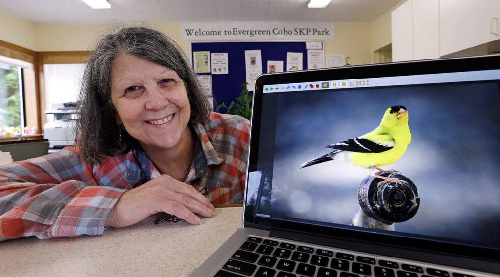 On June 8, Nancy Zingheim displays a photo of an American goldfinch taken by Rita Poe as she sits in her RV office in Chimacum. (Elaine Thompson/The Associated Press)