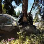 One sent to hospital after truck swerves off Old Olympic Highway