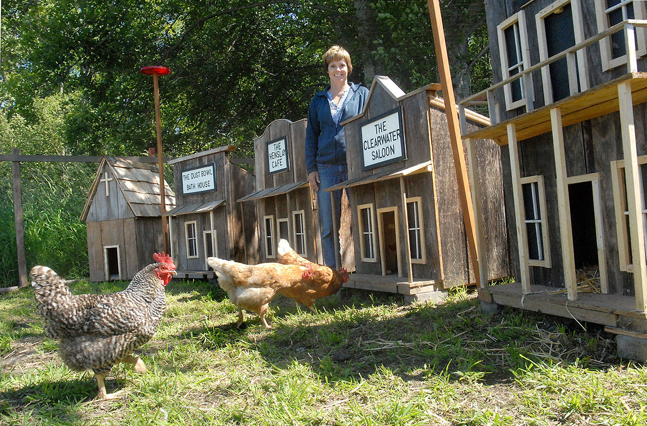 Cindy Stallknecht of rural Port Angeles surveys the residents of &ldquo;Coopville,&rdquo; a western-themed town she built to contain and entertain her flock of chickens. (Keith Thorpe/Peninsula Daily News)