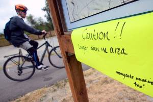 Cougar sightings cause concern in west Port Angeles neighborhood