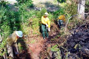 Brush fire on Sommerville Road in Chimacum under investigation