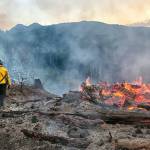 Brush blaze fight near Port Angeles involves many agencies