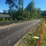 Phase one of the Discovery Bay section of the Olympic Discovery Trail is already paved. Crews will soon start on phase two, which runs along an old railroad grade. (Cydney McFarland/Peninsula Daily News)