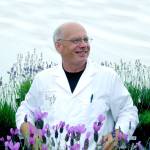 Paul Jendrucko, aka Dr. Lavender, poses for a portrait among the blooms. (Mary Jendrucko)