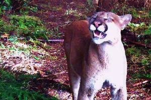 WEST END NEIGHBOR: Smile, you’re on candid game camera