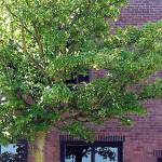 BACK WHEN: Port Angeles residents share memories of now-vacant building