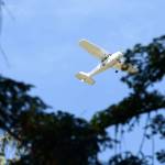 A Cessna 172N, owned by Rite Brothers Aviation owner Jeff Well, passes over Lincoln Park on Tuesday. The Port Angeles City Council voted Monday to remove 74 trees at Lincoln Park obstructing a Fairchild International Airport glide path. (Jesse Major/Peninsula Daily News)