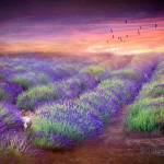 &ldquo;Lavender Sunset&rdquo; by Marilynn Evans will be on display during Sequim&rsquo;s First Friday Art Walk today.