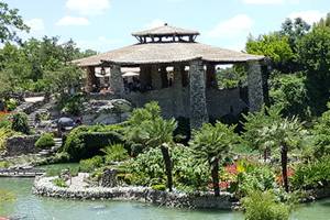 A GROWING CONCERN: A theme can pull a yard together