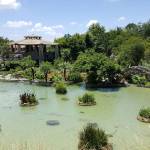 The view looking back across the pond with the arched line Stonebridge on the right in the San Antonio Japanese Tea Garden. As one who likes rocks because they never die, need watering fertilizer or have to be pruned, I am so envious of that structure. (Andrew May/for Peninsula Daily News)