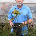 On July 8, Clallam County Master Gardener Mike Barnes will lead a presentation entitled &ldquo;Planting Natives in the Garden&rdquo; in Sequim.