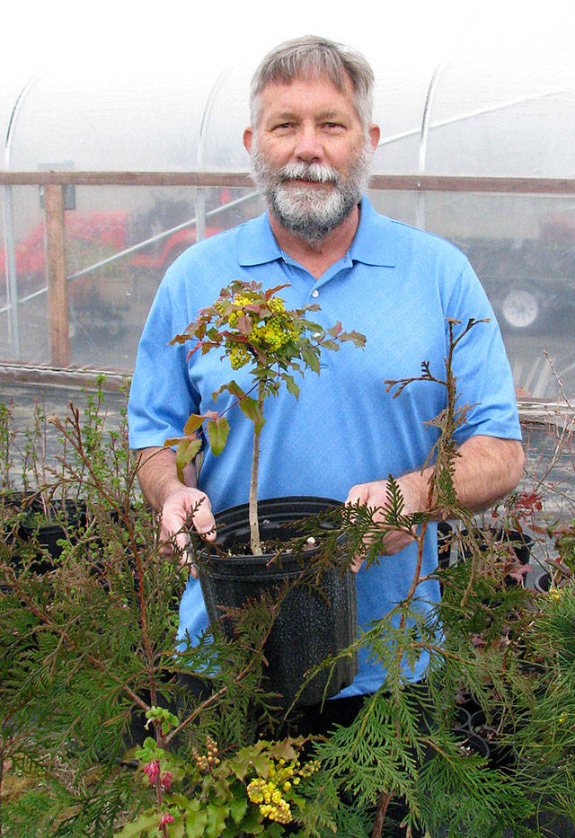 On July 8, Clallam County Master Gardener Mike Barnes will lead a presentation entitled &ldquo;Planting Natives in the Garden&rdquo; in Sequim.