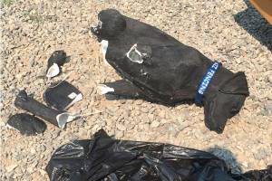 Stolli the dog statue stolen from Sequim memorial and found in pieces