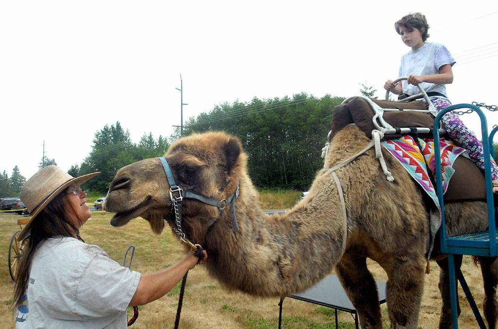 Zev Flotto-Myers, 11, of Port Angeles, right, sits on the back of Eli, a camel owned by Becky Northaven, left, prior to getting a ride at Joyce Daze. (Keith Thorpe/Peninsula Daily News)