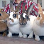 Kids Days kicks off four days of Clallam County Fair