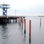 Keith Thorpe/Peninsula Daily News Pilings that once supported temporary moorage docks stand empty at Port Angeles City Pier as they await new dock sections.