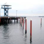 Keith Thorpe/Peninsula Daily News Pilings that once supported temporary moorage docks stand empty at Port Angeles City Pier as they await new dock sections.