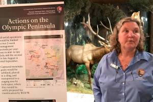 Officials present park, forest goat relocation plan