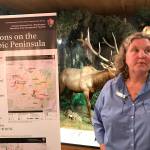 Patti Happe, an Olympic National Park wildlife biologist, explains aspects of a recently released mountain goat management plan Tuesday at an open house at the park visitor center. (Paul Gottlieb/Peninsula Daily News)