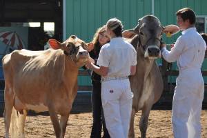 Land trust to give WSU Clallam Extension service Farmer of Year award
