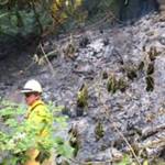 Brush fire sends up smoke from Tumwater Truck Route