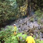 Clallam County Fire District No. 2 firefighters fight a brush fire Monday. (Clallam County Fire District No. 2)