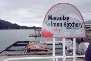 PAT NEAL: Don’t cry over spilled salmon