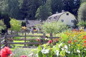 Concerts in the Barn offers musicians ‘right at home’ venue