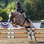 HORSEPLAY: Fresh water is important for animals