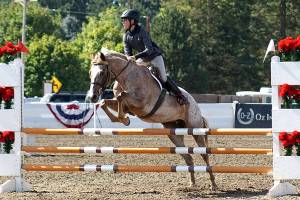 HORSEPLAY: Fresh water is important for animals
