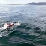 Swimmer Melissa Blaustein makes her way to the Race Rocks area west of Victoria, B.C. around 3:30 p.m. Saturday. Blaustein completed her trek across the Strait of Juan de Fuca at 3:43 p.m. (Northwest Open Water Swimming Association)