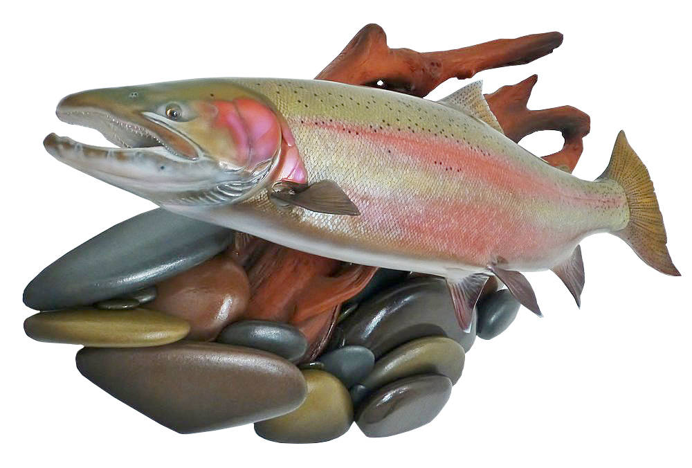 &ldquo;Kispiox River Steelhead&rdquo; is a 30-pound British Columbia upriver steelhead fish replica featured on a river rock and driftwood wall display.