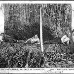 Loggers in an undercut in Port Angeles. (North Olympic Library System&rsquo;s Bert Kellogg Collection)