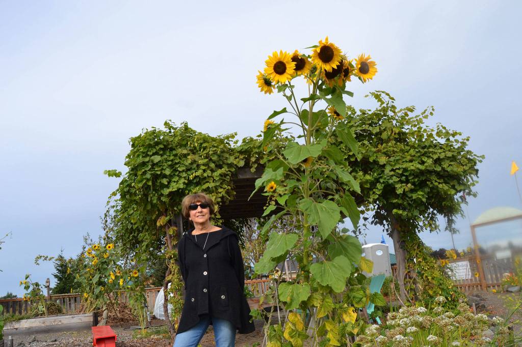 Matthew Nash/Olympic Peninsula News Group                                Liz Harper stands in the Fir Street Garden for the Community Organic Gardens of Sequim, which she helped start more than nine years ago. She&rsquo;s planning to move for health reasons but said she&rsquo;s proud of people&rsquo;s efforts. &ldquo;It&rsquo;s a true community garden,&rdquo; she said.