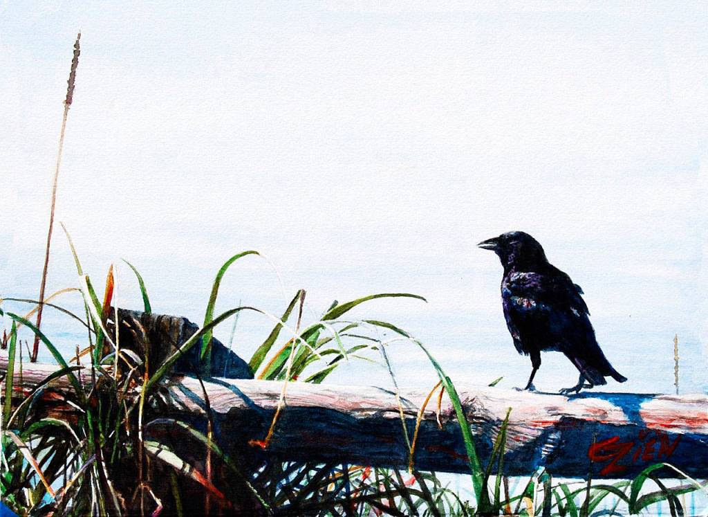 &ldquo;The Raven&rdquo; by George Zien was the Olympic Peninsula Art Association&rsquo;s People&rsquo;s Choice Award in 2016.