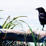 Olympic Peninsula Art Association show coming up