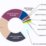 Port Angeles general fund revenue by source