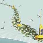 Seaweed line could be next wave of future in fuel