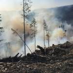 A slash burn near state Highway 113 and U.S. Highway 101 got out of control Sunday when winds kicked up, burning at least 5 acres. (Bill Paul/Clallam Fire District No. 1)