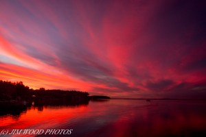 First of two photos from Jim Wood (Click on image to enlarge)