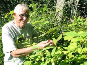Veteran Master Gardener John Norgord will present “Wild Berries: In Their Native Habitat and In Our Garden” on Thursday at noon in the county commissioners' meeting room at the Clallam County Courthouse in Port Angeles. (Amanda Rosenberg)
