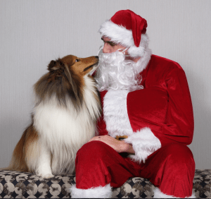 Photo by: Marilyn McEwen