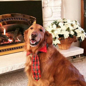 First place ((Click on photo to enlarge))