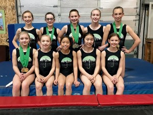 Klahhane gymnasts who compted at the Charity Choice Invitational were