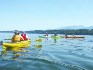 Kayak clinics