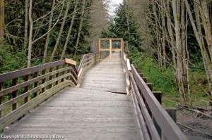 A trestle that carries the Olympic Discovery Trail — and the North Olympic Discovery Marathon — over the Dungeness River remains closed after flood damage last winter. (Chris McDaniel/Peninsula Daily News)
